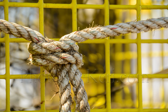 All Tied Up