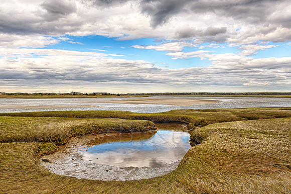 Marshland Reflections