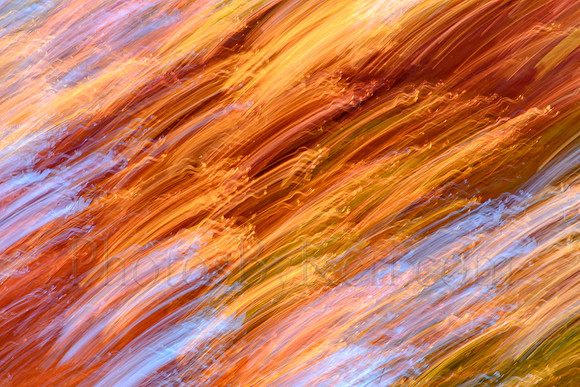 Autumn Colors In Motion