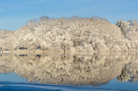 Winter Scenics