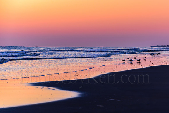 Early Morning Color