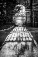 The Light Through The Gate
