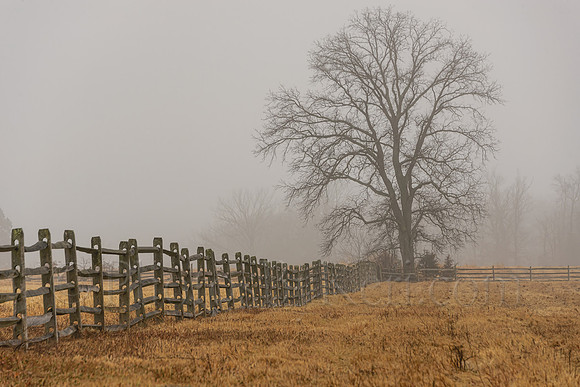 Gettysburg Fog