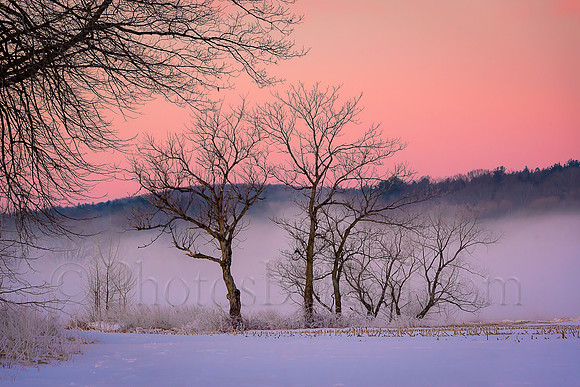 Freezing Fog Over The Bones Of Winter