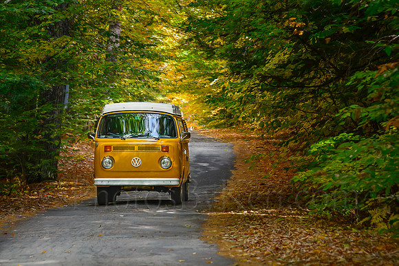 A Ride Through Time