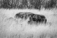 Steadfast in Gettysburg
