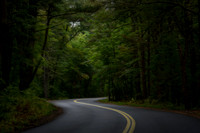 The Long and Winding Road