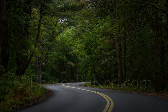 The Long and Winding Road