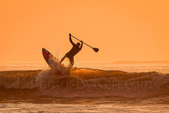 Gnarly Waves Dude