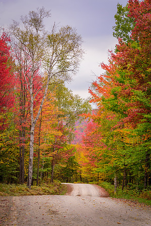 Down The Autumn Road