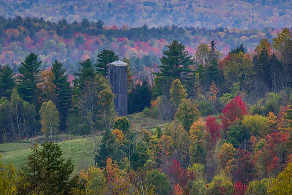 Silo Among The Trees