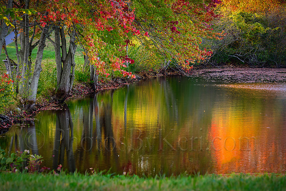Autumnal Reflections