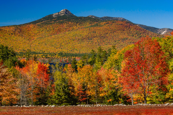Chocorua in Autumn