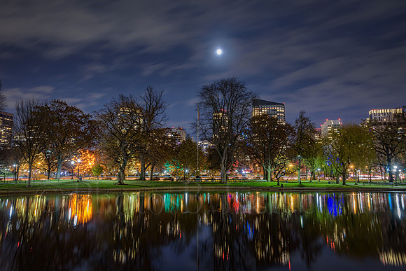Public Garden Holiday Reflections