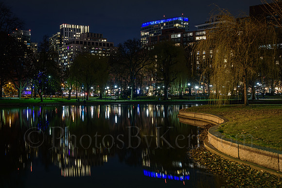 Public Garden Reflections