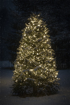 Christmas Magic In The Snow