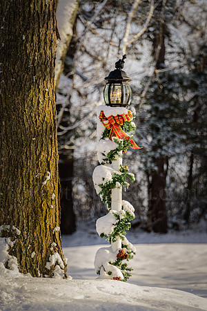 Light Of The Winter Wonderland