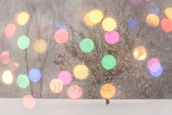 Christmas Day Snow Globe