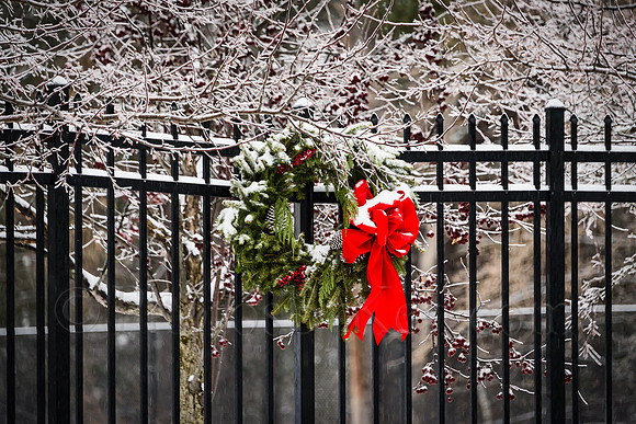 Iced Wreath