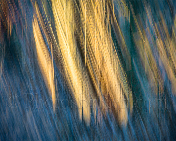 Sunset Whispers