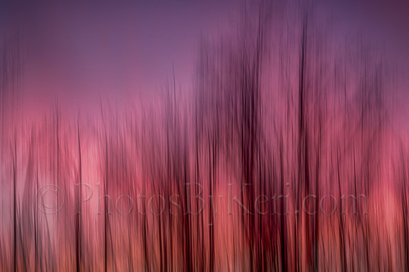 Sunset Through The Trees