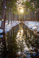 Brookside Reflections