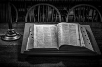 The Dictionary