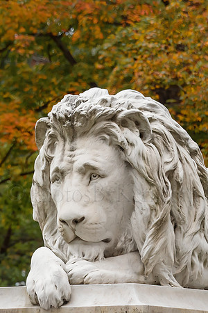 Autumn is Roargeous