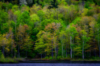 Vibrant Spring Colors