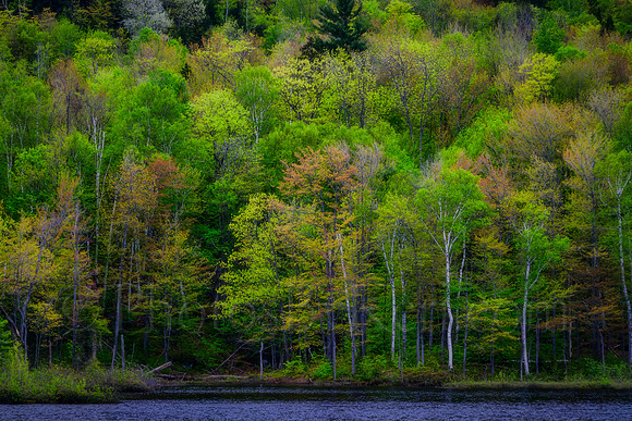 Vibrant Spring Colors