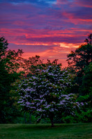 Hint Of The Sunrise
