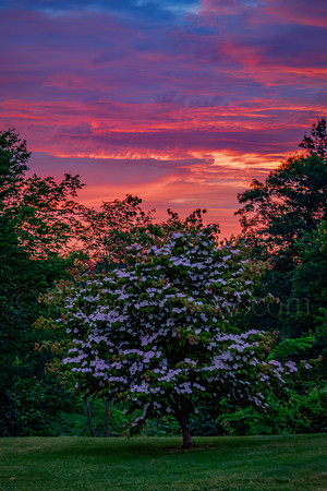 Hint Of The Sunrise