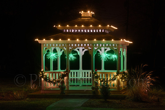 Festive Lights