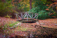 Fall At The Footbridge