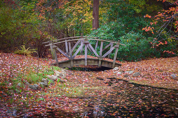 Fall At The Footbridge