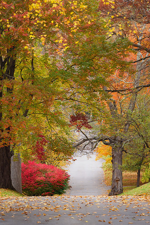 November Way