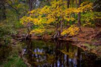 West Running Brook Autumn