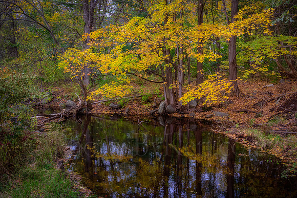 West Running Brook Autumn