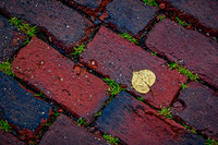 On The Brick Pathway