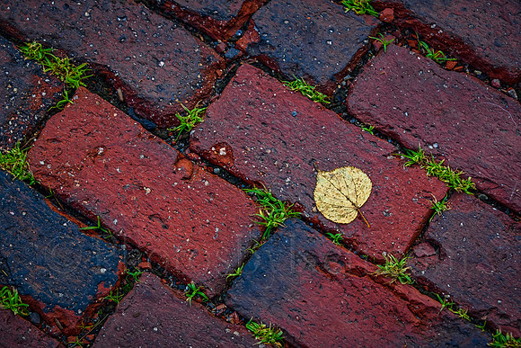 On The Brick Pathway