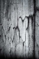 Heart In The Details