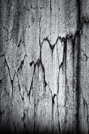 Heart In The Details