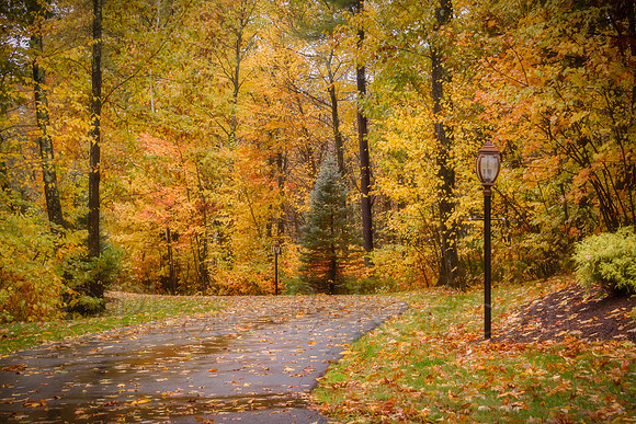 Lantern Lane