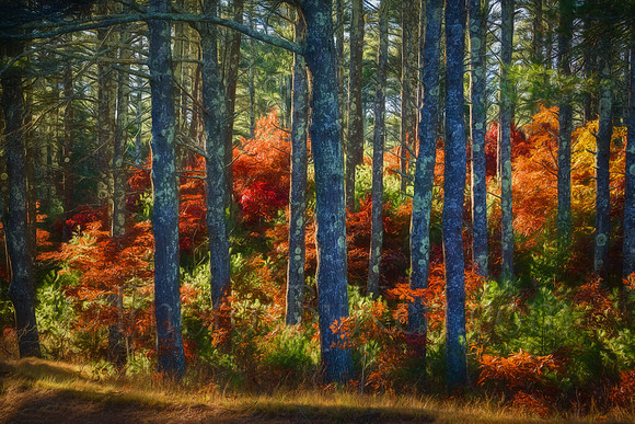 Late Autumn Foliage Painting