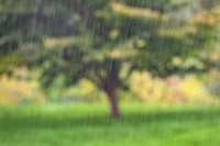 Downpour