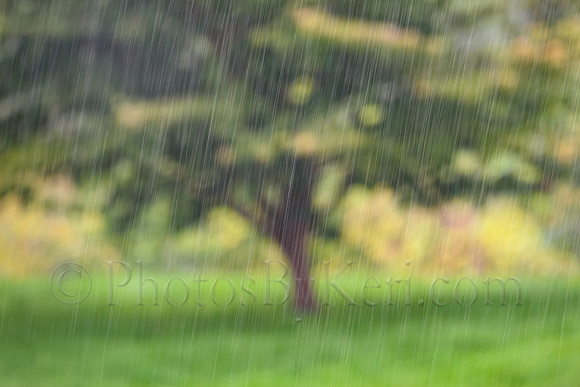 Downpour