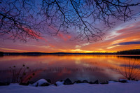 Branching Into Sunrise