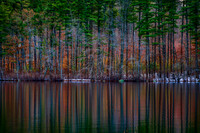 Late Autumn Colorful Reflections