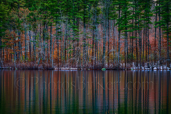 Late Autumn Colorful Reflections