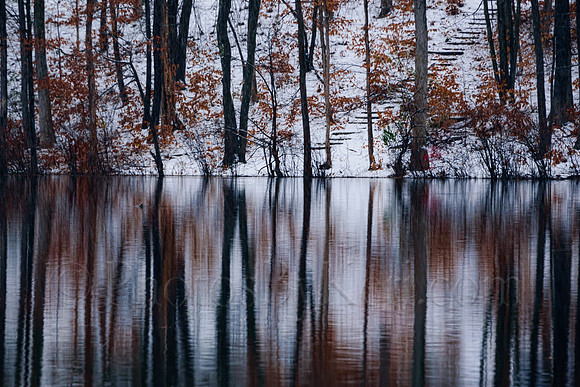 Snowy River Reflections